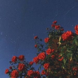 Meet your Posher, Kayleigh